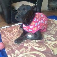 Hogar_ Moka (@hogar_moka) 's Twitter Profile Photo Hogar_ Moka (@hogar_moka) 's Twitter Profile Photo
