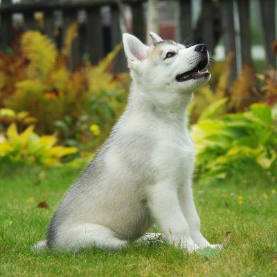 josemacias19860's profile picture. 