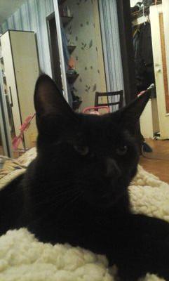 kuzminwar's profile picture. просто всегда на работе