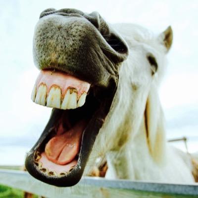Keeping an eye (no blinkers) on all the runners in Procurement & Supply Chain. The favourites, thoroughbreds, juveniles, outsiders, a few donkeys & the odd ass