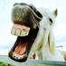 Final Furlong (@final_furlong) Twitter profile photo Final Furlong (@final_furlong) Twitter profile photo