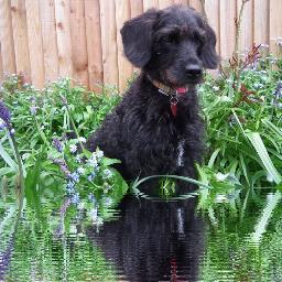 TreloarTeps's profile picture. 