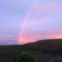 Paula Thomson - @ptsrus2 - Twitter