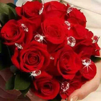 youssef250243's profile picture. 