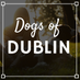 Dogs of Dublin (@dogsofdub) Twitter profile photo