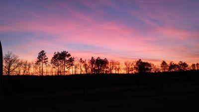 SouthGaTinyHome's profile picture. One mission: Build one KICK ASS tiny home!!