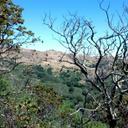 Sandy Mathews - @Sandy_Mathews - Twitter