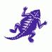traderfrog (@traderfrog) Twitter profile photo traderfrog (@traderfrog) Twitter profile photo