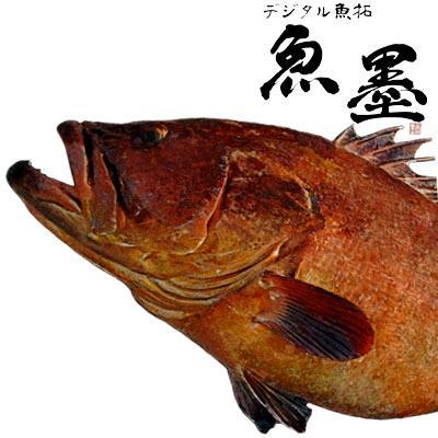 デジタル魚拓 魚墨 本日のデジタル魚拓のご紹介は リアル魚拓 ブラックバス 62 3 こちらは仲間内で開催している ブラックバス大会の賞品として毎年ご注文を頂いている今年の作品です さすがのサイズですね サイズもさることながらこの重量感も