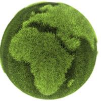 Remi Hemeryck (@remihe) 's Twitter Profile