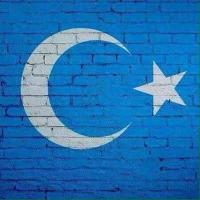 Gurkan Bugur (@hayretbisiyya) Twitter profile photo