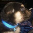 Stacey Hood - @qaaxatscili - Twitter