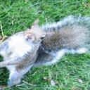 Matt Downer - @tatamimatt_nz - Twitter