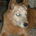 Todd Jackson - @_SuperTodd_ - Twitter