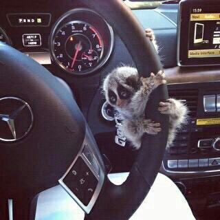 ali99553's profile picture. 