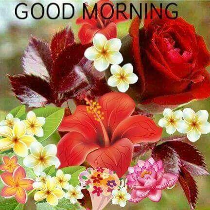 lalajaha742's profile picture. 