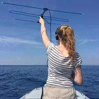 Natasha Phillips (@sunfishresearch) 's Twitter Profile