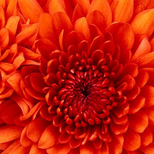 Suzanne_W_'s profile picture. Academic skills and numeracy specialist teacher, Hud. I use this for work-related tweets and for looking at pictures of otters. All views my own,etc