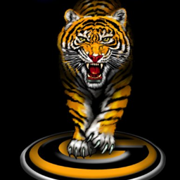 #RebirthOfALegacy
#LadyTigerNation
#GramFam
One Village.. One Vision .. One Mission.. One Grambling