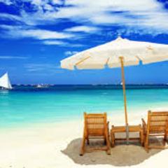 summersunreview's profile picture. 