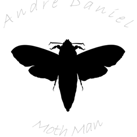 Andre Daniel creator of the unique Devon Moths. Beautiful English hardwood at its best.