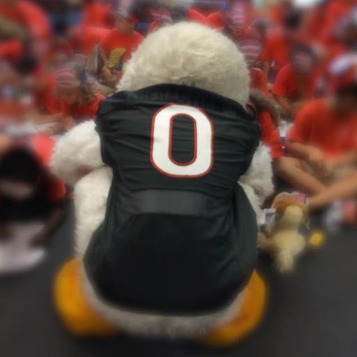 Welcome to the official Twitter of The U Campus Store -Your connection on the Coral Gables campus for everything #CANES #TheU