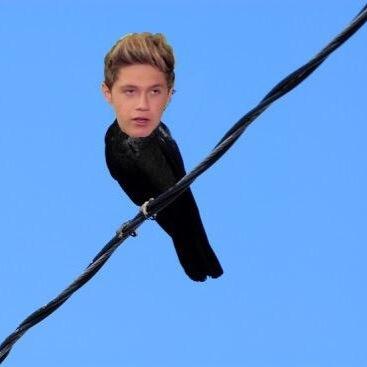 Iourryftziam's profile picture. u lil rebel. Follow @redveIvetlwt my little rebel child.