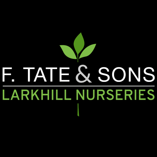 F.Tate & Sons