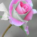Adryana Lopez (@05ab6c25becd430) Twitter