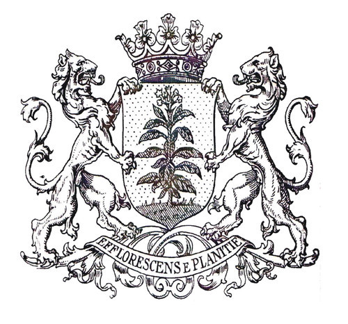 alexanderavan's profile picture. 