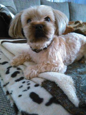 JonasMerther's profile picture. 