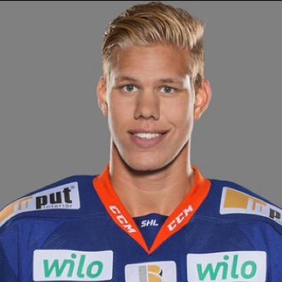 Swedish Hockeyplayer 🏒