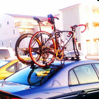 Travis379's profile picture. Husband, Father, friend and most of all God fearing...