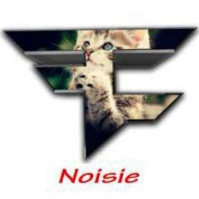 I'm the real FaZe Noisie no lie I think? huh who knows.