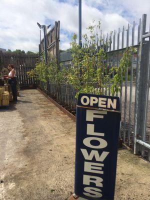 bgcruncorn's profile picture. Local garden centre selling seasonal bedding plants, perennials and shrubs