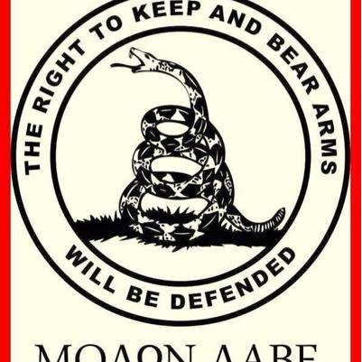 MOLON LABE                         ALL LIVES MATTER