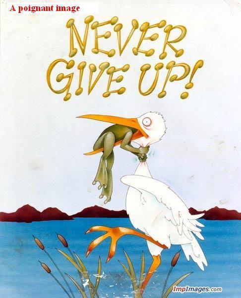 srikanthbiradar's profile picture. 