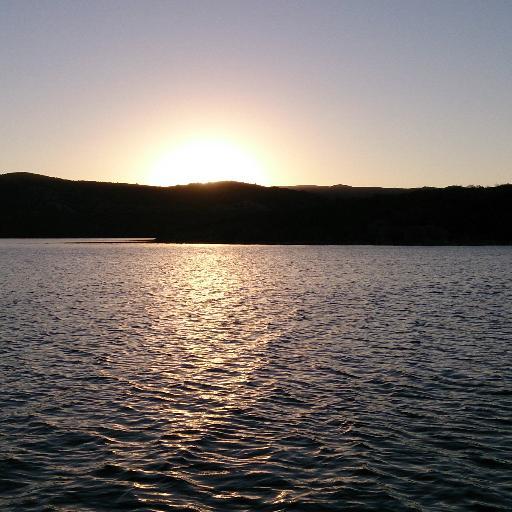 joselferre3's profile picture. 