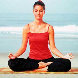 Yoga retreats, yoga wellness in South India (Tamil Nadu, Kerala, Karnataka) We care about our clients & our consultants are knowledgable.