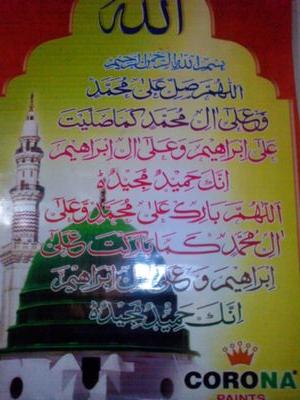 8df76114572c450's profile picture. 