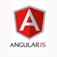 AngularJS Developer Profile