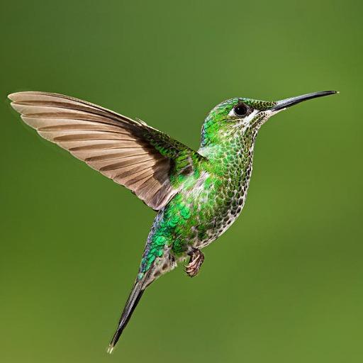 __absolutions's profile picture. Absolutions hjälper dig att få bukt med de destruktiva förhållnigssätt till...variationerna finns i alla oändlighet, grundproblematiken är densamma! Välkommen!