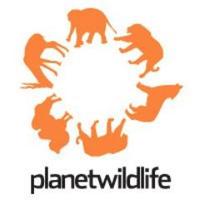 PlanetWildlife(@planetwildlife) 's Twitter Profile Photo
