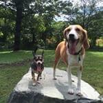 RyanReitz's profile picture. 