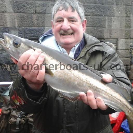 johnheads2's profile picture. 