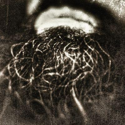 Boston5369's profile picture. 