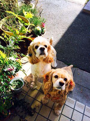 sumie712gmailc1's profile picture. 日本己書道場 楽笑元気道場師範 好奇心いっぱいから 始まった🍀己書との出会いで 人生が変わった。字が上手い下手は関係ない 絵も上手くなくて良い それが私にとって最高でした。上手く書けない 描かない私もだから伝えられる己書🍀岐阜市　岐南町　羽島　各務原　関　郡上　大和　白鳥　高山で幸座開催中　己書を世界に伝えよう😆