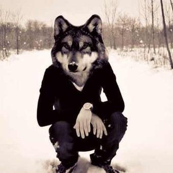 liqui_volf's profile picture. Ищу свой моск, верю в людей.