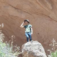 William K. Chang (@w_k_chang) 's Twitter Profile