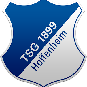 Twitter brasileiro do Turn- und Sportgemeinschaft 1899 Hoffenheim e.V. ou simplesmente Hoffenheim. 
Criado em 28/07/2014.
